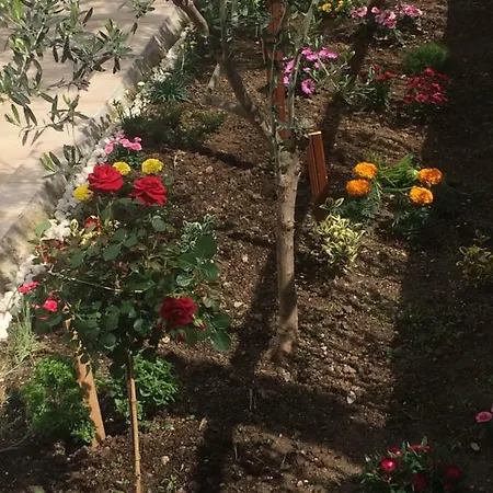 Apartment Aigaiou House Thessaloniki